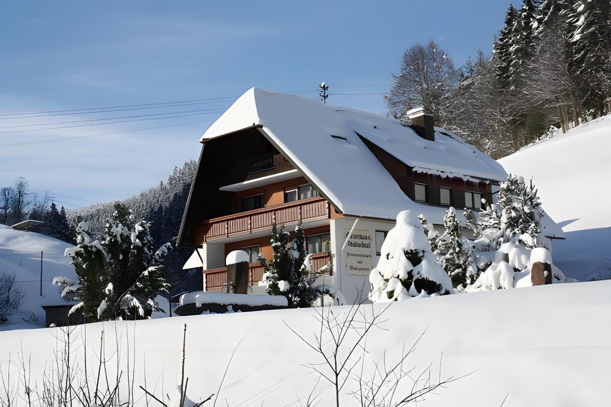 Gaestehaus Absbachtal Bad Rippoldsau-Schapbach Екстер'єр фото